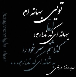 گریه های امپراطور